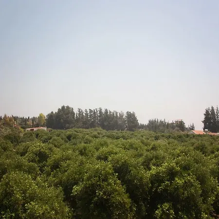 Citrus Grove Limassol