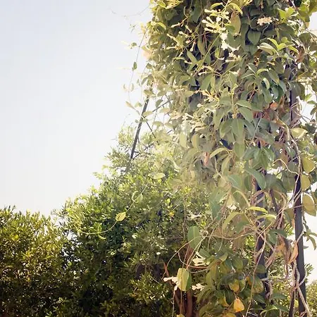 Apartment Citrus Grove *