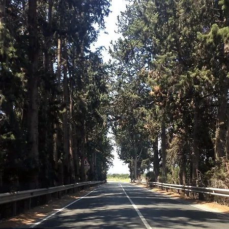 Citrus Grove Апартаменты Лимасол